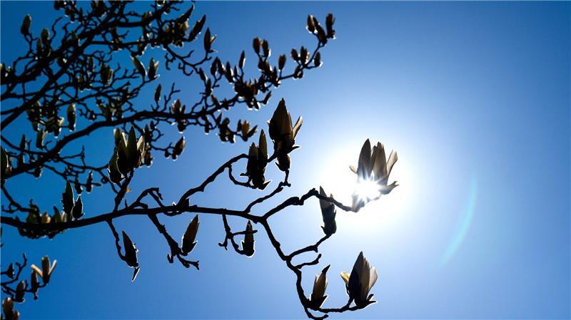 Ein sonniger Samstag in Niedersachsen und Bremen, bevor am Sonntag voraussichtlich Regen folgt. (Symbolbild)