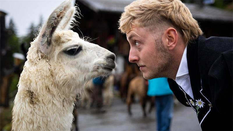 Ein tiefer Blick in die Augen - Rico und sein Lama kurz vor dem Alpabzug in der Schweiz.