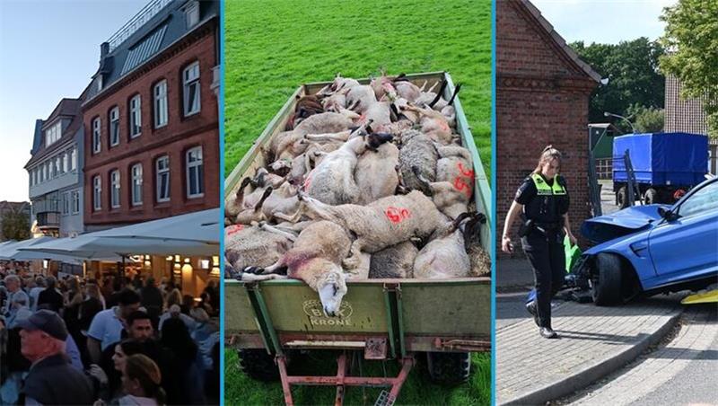 Ein tödlicher Unfall in Mulsum, 55 gerissene Schafe in Gräpel, Beschwerden von Gästen des Stader Altstadtfestes: Diese Themen haben die TAGEBLATT.de-Nutzer 2023 interessiert.