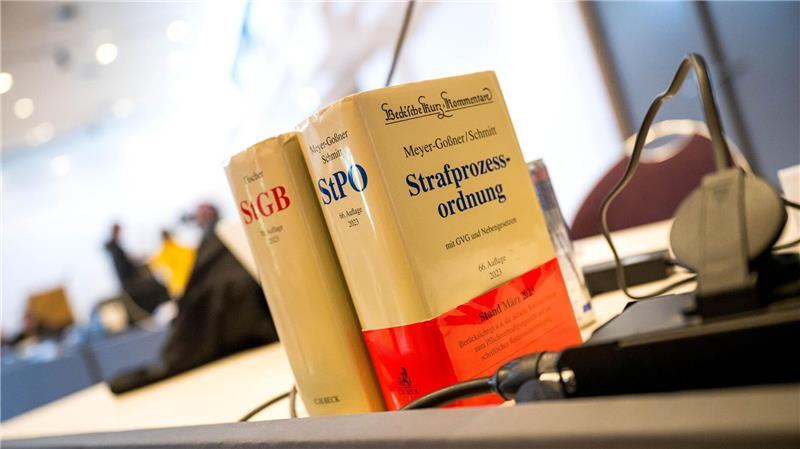 Urteil gegen Ex-Vorstand von Elsflether Werft rechtskräftig Ein verurteilter Ex-Vorstand der Elsflether Werft hat seine Revision zurückgezogen. (Archivbild)