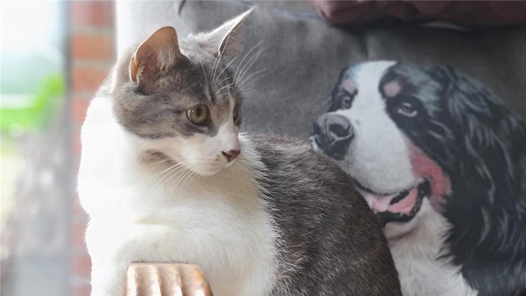 Ein weiteres Foto hat Carolin Klein-Krichel in petto: "Dobby unser kleiner Hause...