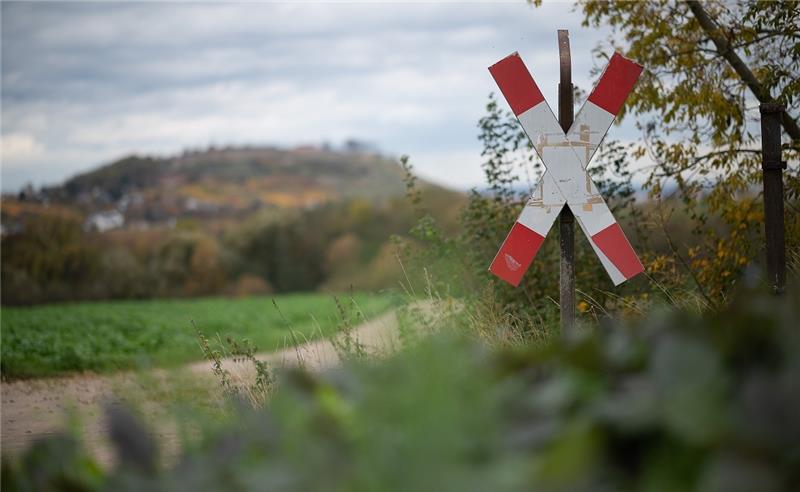 Ein Andreaskreuz warnt vor einem Bahnübergang (Symbolbild). Foto: Sebastian Gollnow/dpa