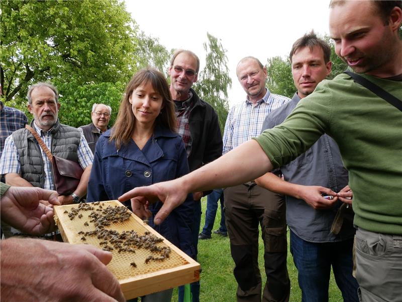 Einblick in die Imkerwelt am Lehrbienenstand: Landwirte und Imker treffen sich beim Workshop in Bad Bevensen.