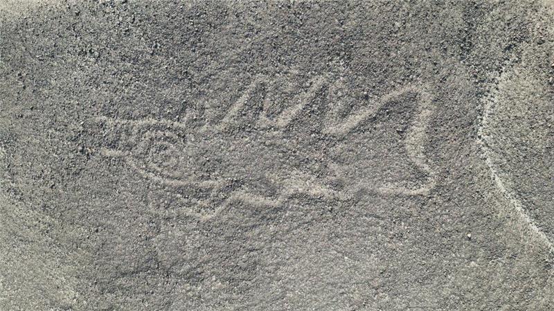 Eine 22 Meter lange reliefartige Geoglyphe, die nach Forscherangaben einen Wal darstellt, wurde im Süden Perus entdeckt.