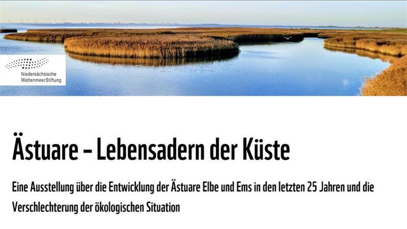 WWF-Wanderausstellung „Ästuare - Lebensadern der Küste“ wird eröffnet Eine Ausstellung über die Entwicklung der Ästuare Elbe und Ems wird im Natureum eröffnet.