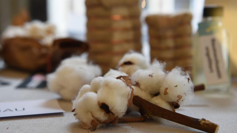 Trends: Farbige Fasern, Mischgewebe und nützliche Abfälle Eine Baumwollpflanze liegt mit anderen Ausstellungsstücken in einer Vitrine im Eingangsbereich der Baumwollbörse in Bremen.