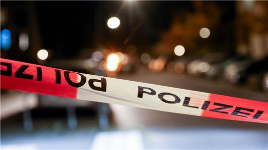 Eine Bronzestatue vor dem Goethe-Gymnasium in Hamburg-Lurup wurde gestohlen. (Symbolbild)