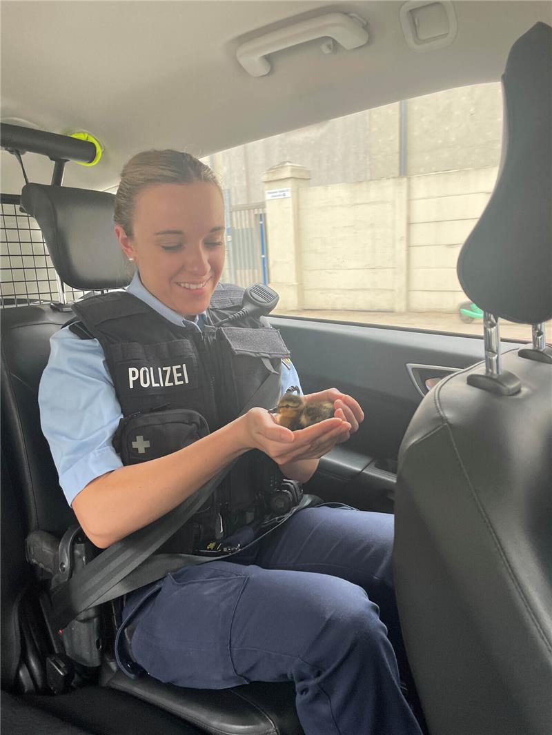 Eine Bundespolizistin in der Ausbildung versorgte das Entenküken mit diversen Streicheleinheiten im Streifenwagen. Foto: Bundespolizei Hamburg