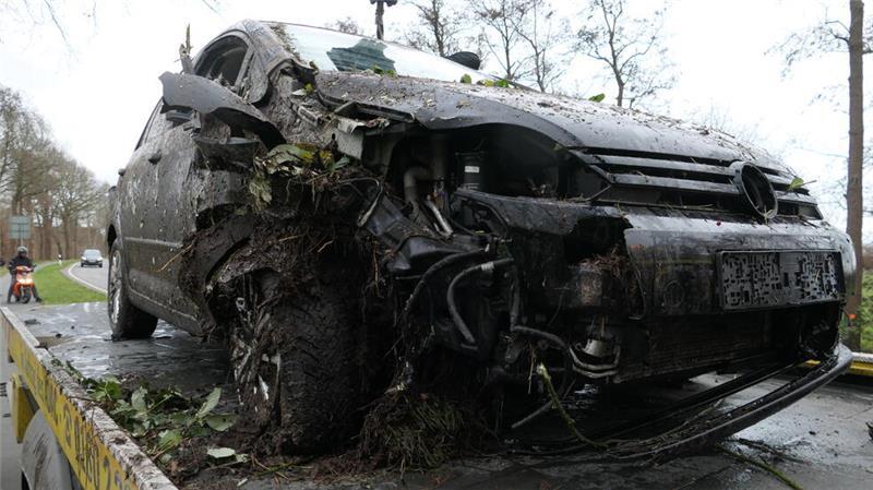 Sturmböen im Kreis Stade: Baum stürzt auf fahrendes Auto bei Harsefeld Der VW wurde an der Front beschädigt.