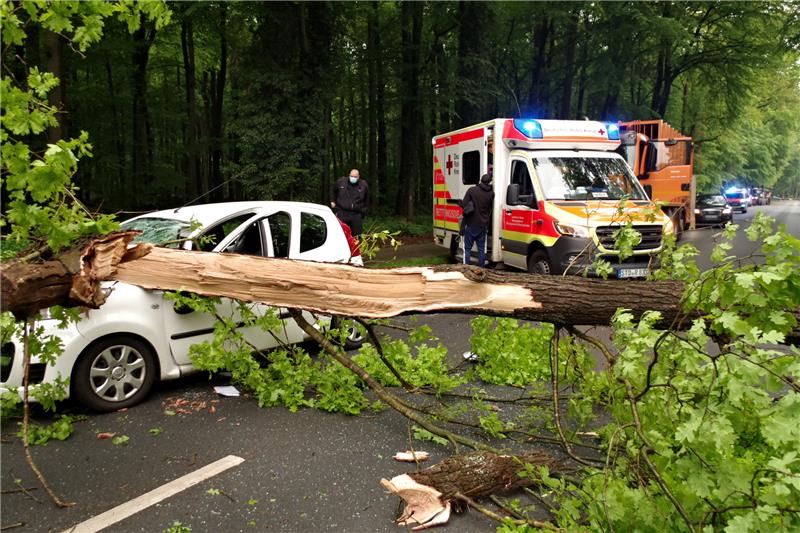 Eine Eiche hat in Groß Sterneberg einen Kleinwagen unter sich begraben, in dem eine Frau durch das Dorf fuhr. Foto: Hillyer-Funke