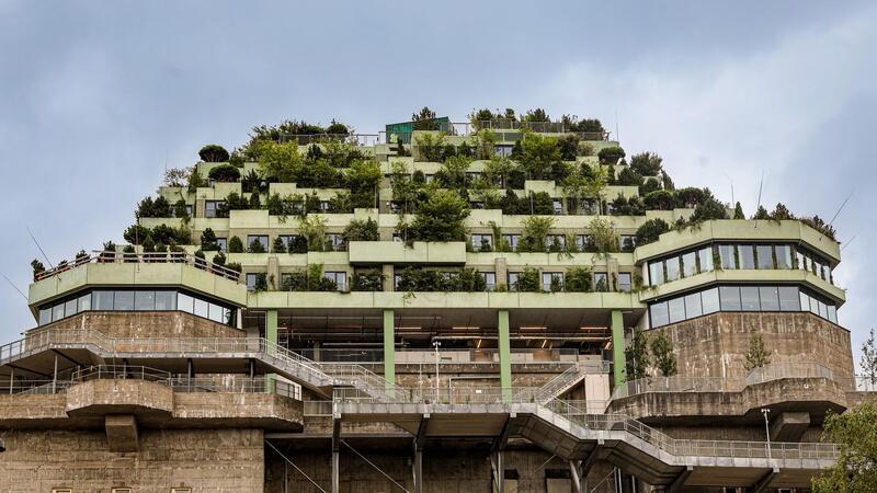 Eine Eröffnung mit geladenen Gästen gab es bereits - ab Freitag können dann alle Bürgerinnen und Bürger den grünen Bunker auf St. Pauli erkunden