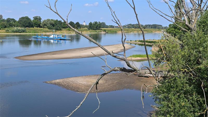 Wie das Niedrigwasser der Wirtschaft zusetzt Eine Fähre quert die Elbe in Sachsen-Anhalt. (Archivbild)