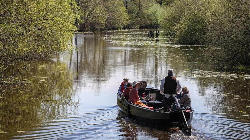 Eine Fahrt mit dem Torfkahn durchs Moor ist idyllisch. (Archivbild)
