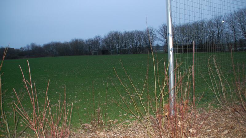 Eine Flutlichtanlage auf dem Rasenplatz soll den Kickern das Training in dunklen Wintermonaten ermöglichen.