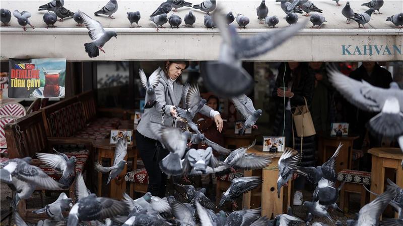 Eine Frau füttert Tauben in Sarajevo.