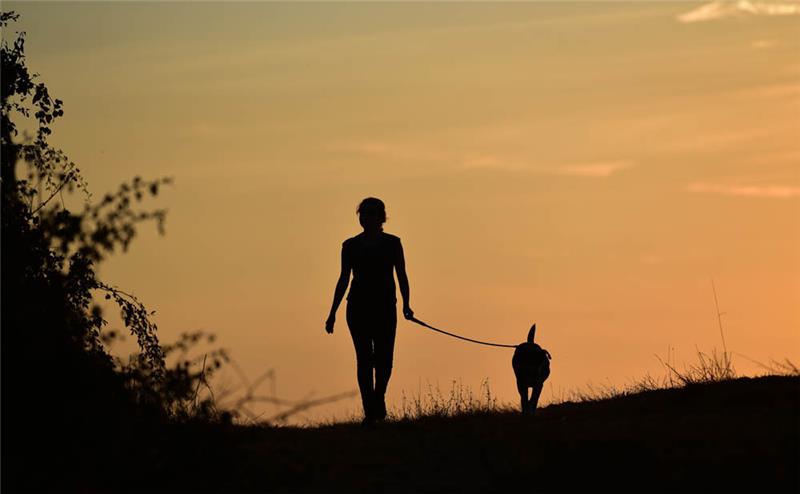 Eine Frau geht bei Abenddämmerung mit ihrem Hund spazieren. Foto: Nicolas Armer/dpa