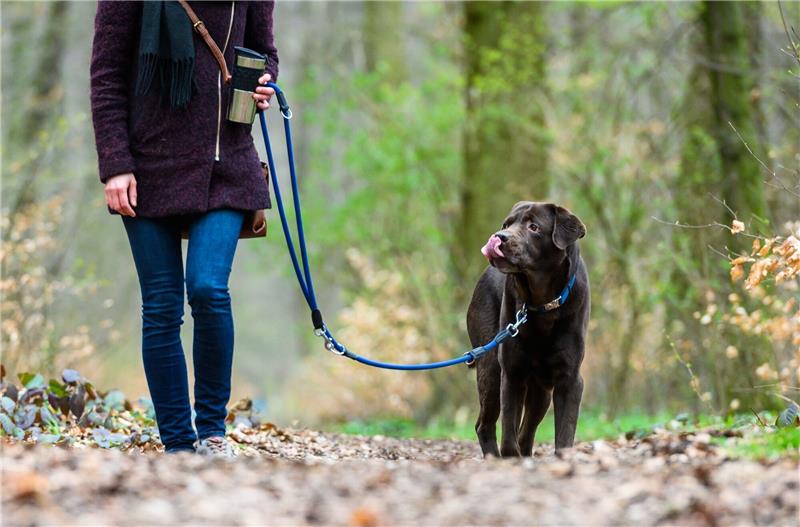 Brutzeit: Nationalparkverwaltungen erinnern an Leinenpflicht Eine Frau geht mit ihrem Hund spazieren.