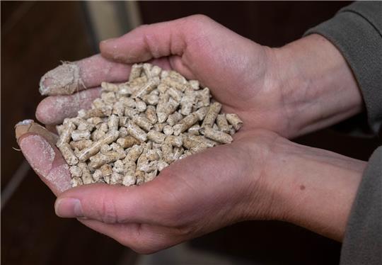 Eine Frau hält Holzpellets im Keller eines Wohnhauses in den Händen. Ab 4. Mai 2023 können Härtefallhilfen an Privathaushalte, die ohne leitungsgebundene Energieträger heizen, beantragt werden. Foto: Boris Roessler/dpa