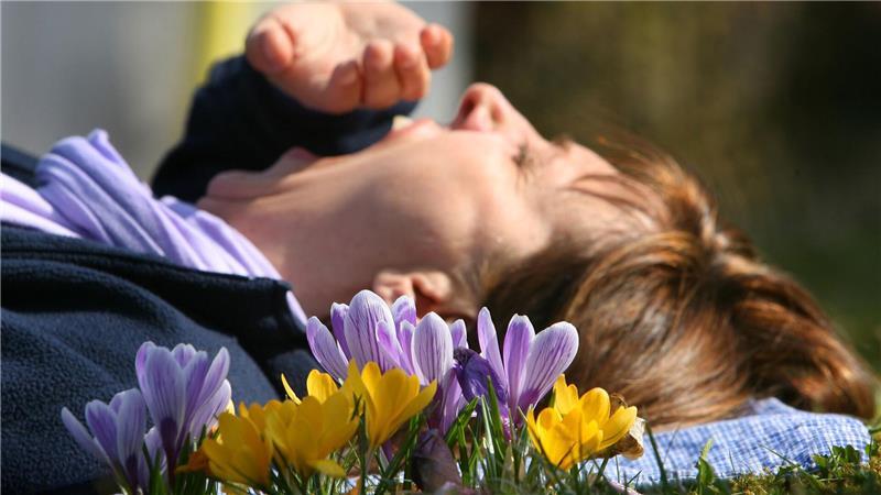 Gähn - oder doch nicht? Ist Frühjahrsmüdigkeit ein Mythos? Eine Frau liegt auf einer mit Krokussen bewachsenen Wiese und gähnt. (Archivbild)