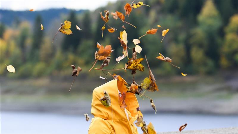 Eine Frau schaut an der Okertalsperre im Harz im Sturm fliegenden Blättern hinterher, die sie zuvor zur Belustigung ihres Sohnes in die Luft geworfen hatte. 