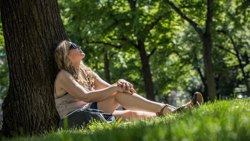 Hitzewarnung im Kreis Stade: Tipps zum Schutz vor hohen Temperaturen Eine Frau sitzt unter ein Baum.