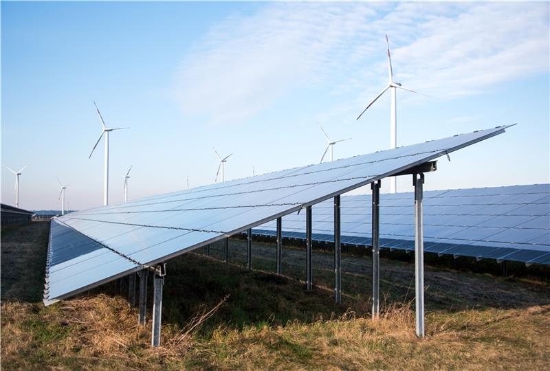 Der Run auf die Solarflächen in Oederquart beginnt Eine Freiflächenanlage wie diese ist südlich von Krummendeich geplant. Foto: Daniel Bockwoldt/dpa