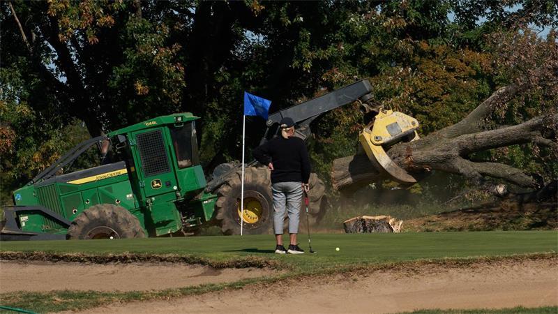 Eine Golferin beobachtet, wie auf dem East Potomac Park Golf Course in Washington Bäume gefällt werden.