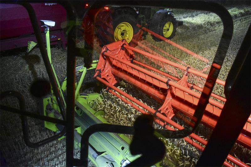 Eine Gut-Wetter-Maschine: Dieser Claas Trion ist der zweitneueste Mähdrescher, den das Nottensdorfer Lohnunternehmen hat.