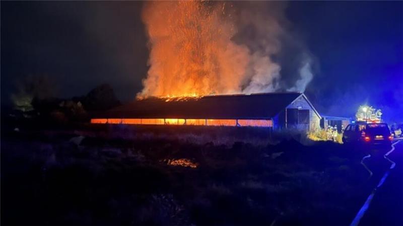 Eine Halle ist in Neulandermoor niedergebrannt.