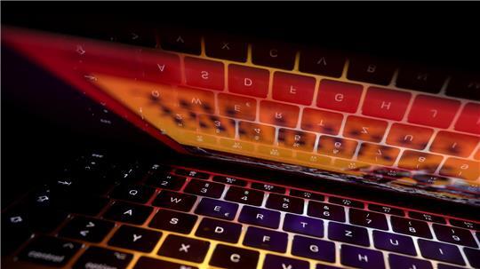 Eine Interpol-Operation deckte 37 Opfer von Phishing im Kreis Stade auf.