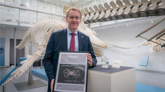 Eine Krabbenart wurde nach Daniel Günther benannt - Erebusa danielguentheri.