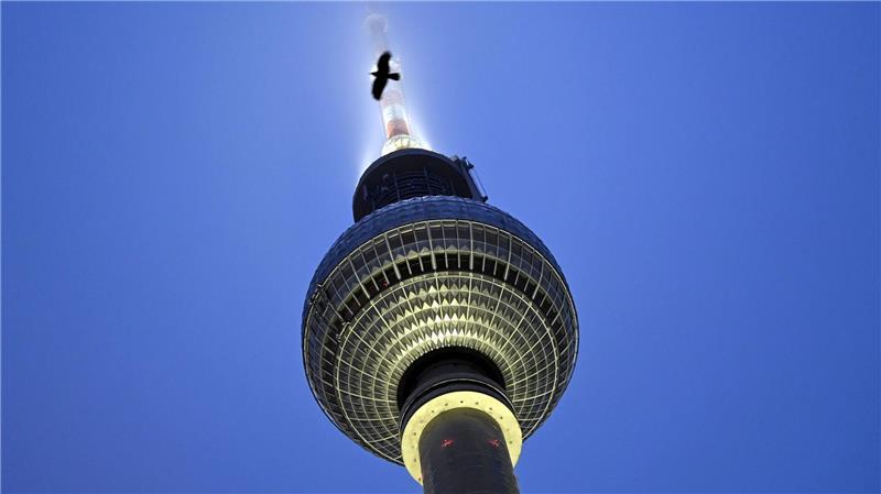 Eine Krähe fliegt vor dem Berliner Fernsehturm, dessen Spitze angeleuchtet ist und teils im Nebel versinkt.