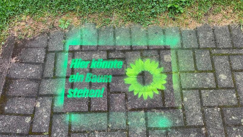 Mit Bürgern im Gespräch: Harsefelder Grüne verteilen Sonnenblumen Eine Kreidebotschaft der Harsefelder Grünen: „Hier könnte ein Baum stehen!“