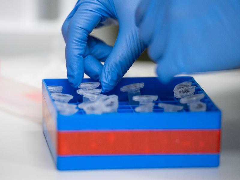 Eine Laborantin sortiert Proben. Foto: Christophe Gateau/dpa/Symbolbild