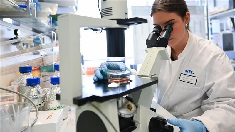 Eine Mitarbeiterin des Deutschen Krebsforschungszentrum bearbeitet in einem Labor unter dem Mikroskop eine Probe.