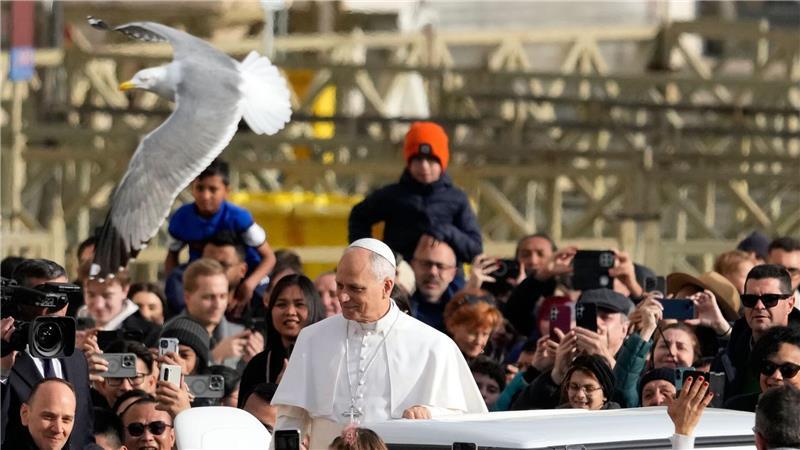 Eine Möwe fliegt vorbei, während der Papst Gläubige auf dem Petersplatz begrüßt.