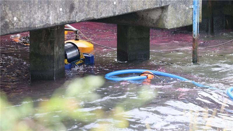 Ölfilm im Cuxhavener Hafen - Havariekommando im Einsatz Eine Ölsperre soll verhindern, dass sich der ausgelaufene Treibstoff weiter im Hafenbecken von Cuxhaven ausbreitet.