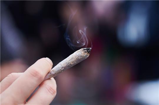 Eine Person hält einen Joint mit Cannabis in der Hand.