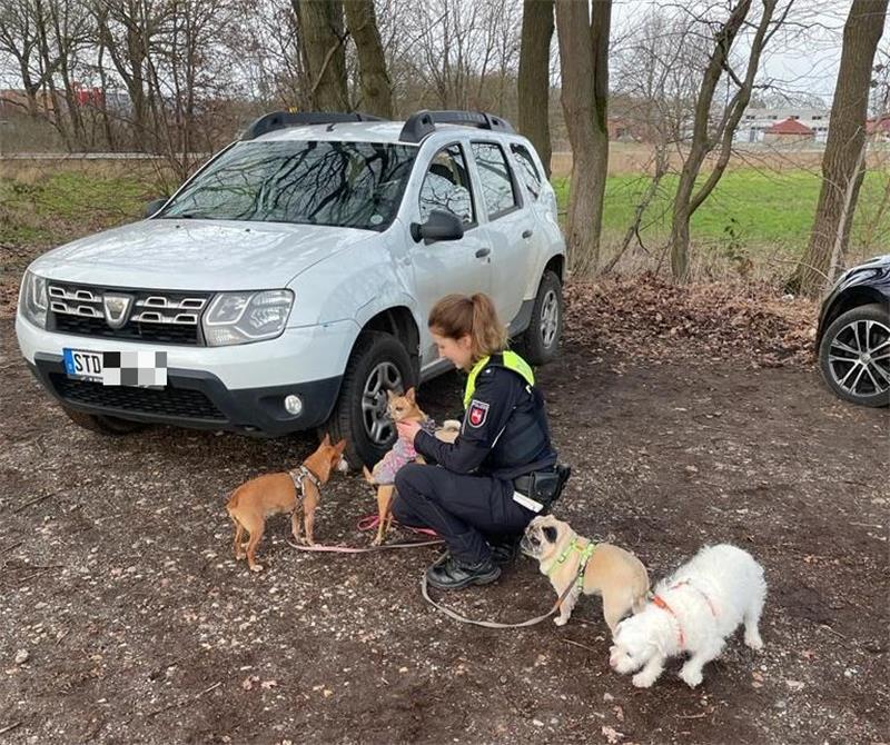 Eine Polizeibeamtin kümmert sich um die unverletzt gebliebenen Hunde. Foto: Polizei