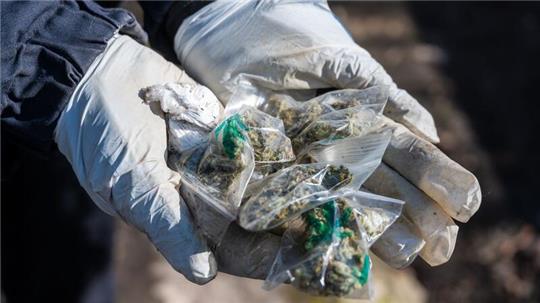 Eine Polizistin hält kleine Tütchen mit Marihuana in den Händen (Symbolbild).