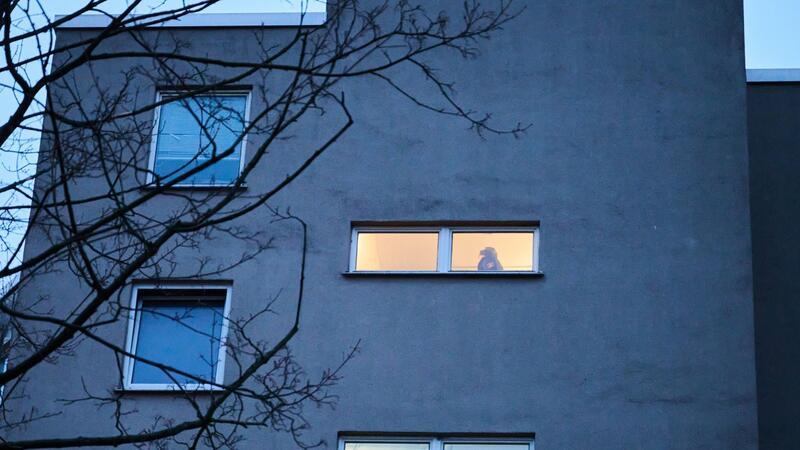 Bislang keine Einlassung von Ex-RAF-Terroristin Klette Eine Polizistin steht in der Wohnung, in der Daniela Klette gelebt haben soll.