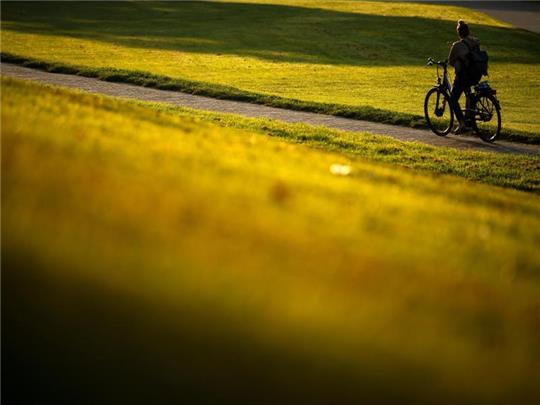 Eine Radfahrerin fährt am Morgen im Sonnenschein über den Osterdeich. Foto: Sina Schuldt/dpa/Archivbild