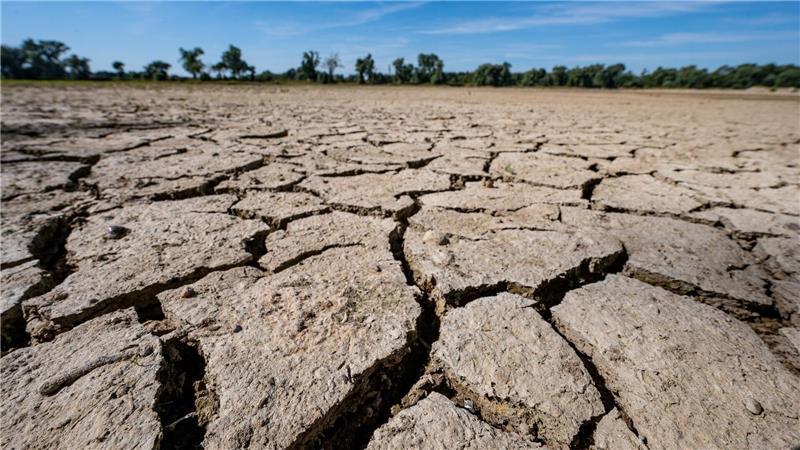 Gesundheitsrisiko Klimawandel: WHO-Gremium soll Hilfe bieten Eine Sandbank an der Niedrigwasser führenden Donau.