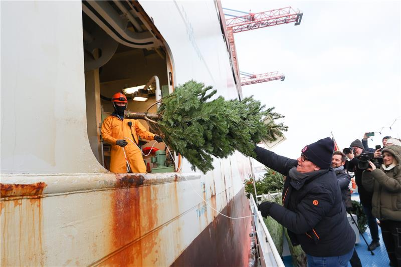 Eine Sponsorin wirft einen Weihnachtsbaum zu zwei Seeleuten in die Luke eines Containerschiffes im Hamburger Hafen. Zahlreiche Weihnachtsbäume sind am Freitag im Hamburger Hafen an Seeleute verteilt worden, die die Weihnachtszeit an Bord ihrer Schiffe und nicht bei ihren Familien verbringen können. Foto: Christian Charisius/dpa