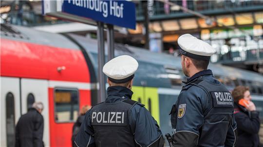 Eine Streife der Bundespolizei musste am Samstag einen stark alkoholisierten Mann aus einem Zug tragen. (Symbolfoto)