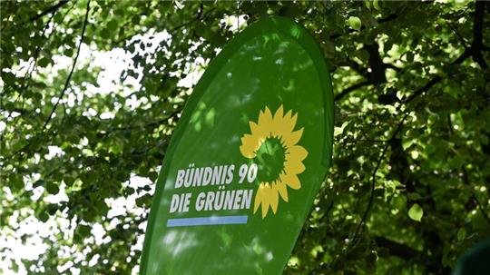 Eine „Task-Force“ soll nach Ansicht der Grünen-Spitze Erkenntnisse zur verfassungsfeindlichen Betätigung der AfD sammeln.