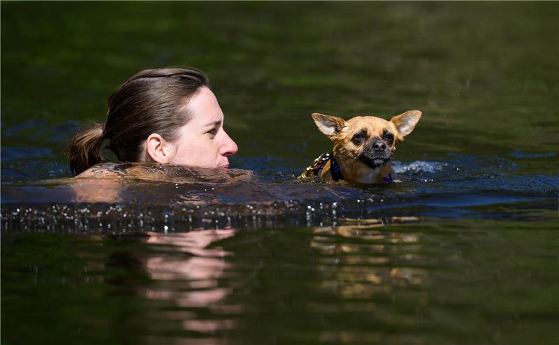 Eine Teilnehmerin schwimmt mit ihrem Hund durch den 12 Grad kalten See.
