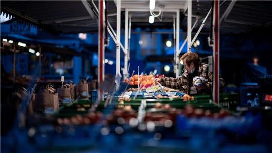 Eine Verkäuferin bereitet die Auslage auf einem Wochenmarkt in Oberhausen vor. „Die Branche hat in den vergangenen 30 bis 40 Jahren insgesamt stark an Bedeutung verloren. In der Bevölkerung sind die Märkte beliebt, aber viele Menschen gehen gar nicht hin“, sagt ein Fachmann.