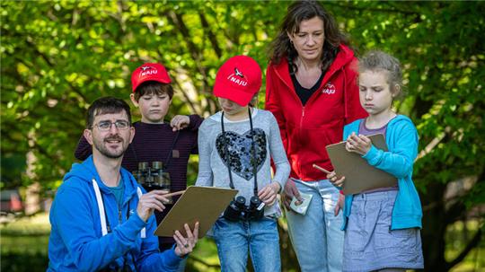 Eine Vogelzählung mit Kindern plant der Nabu Stade im Rahmen der bundesweiten „Stunde der Gartenvögel“.