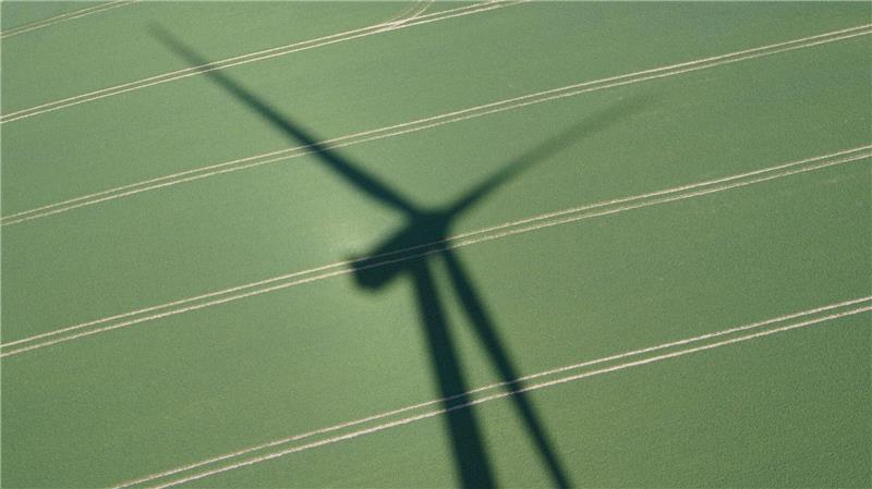 Eine Windenergieanlage im Windpark Sehestedt wirft einen Schatten auf ein Feld. (zu dpa: «Messe Husum Wind eröffnet - Gegenwind aus Berlin?»)